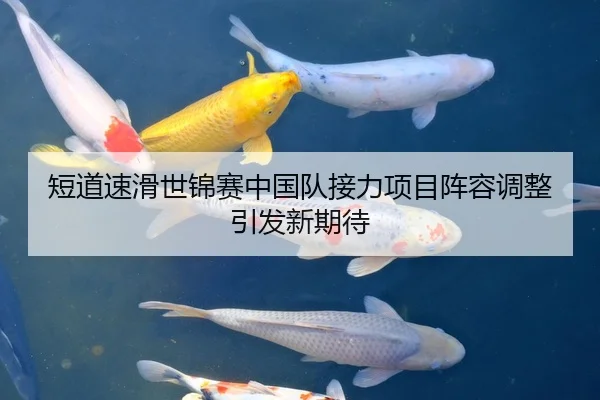 短道速滑世锦赛中国队接力项目阵容调整引发新期待